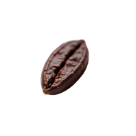 Cacao perfumes