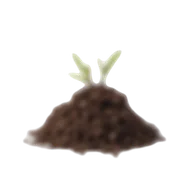 Earthy perfumes