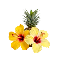 Tropical perfumes
