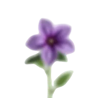 Violet perfumes