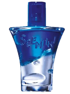 Avon Scentini Nights Midnight Glow perfume bottle