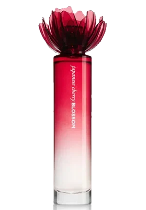 Bath & Body Works Japanese Cherry Blossom 2011 Bath & Body Works parfüm şişesi