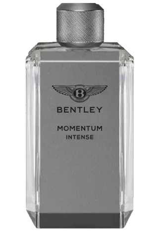 Bentley Momentum Intense parfüm şişesi