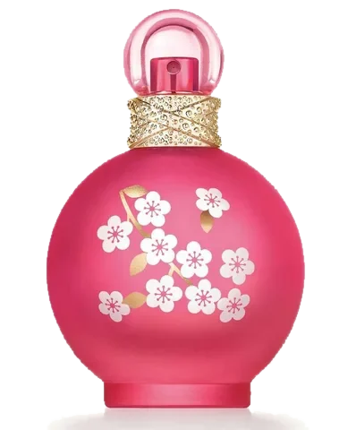 Britney Spears Fantasy in Bloom perfume bottle