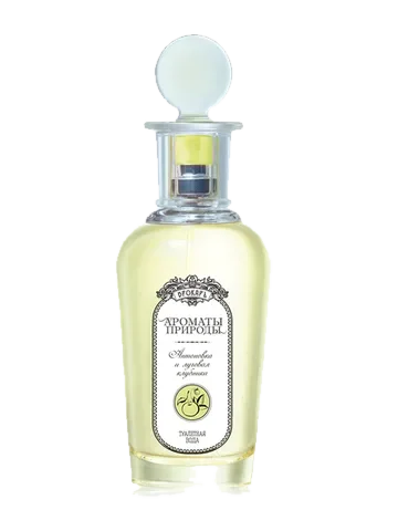 Brocard Антоновка и луговая клубника - Antonovka and Wild Strawberry perfume bottle