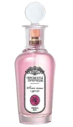 Brocard Лесная Малина и Душица - Wild Raspberries and Oregano perfume bottle