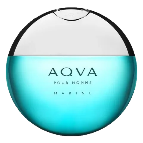 Bvlgari Aqva Pour Homme Marine parfüm şişesi
