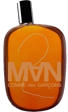 Comme des Garcons 2 Man perfume bottle