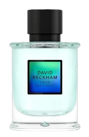 David Beckham True Instinct parfüm şişesi