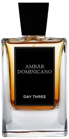 Day Three Ámbar Dominicano perfume bottle