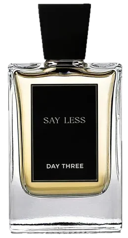 Day Three Say Less parfüm şişesi