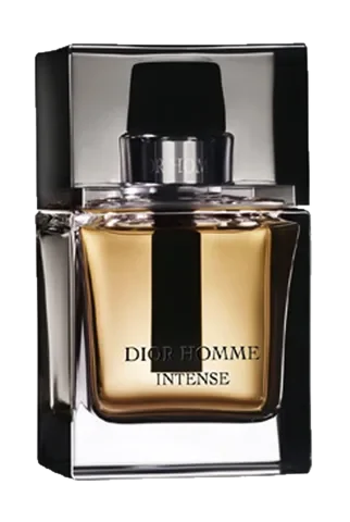 Dior Homme Intense 2007 parfüm şişesi