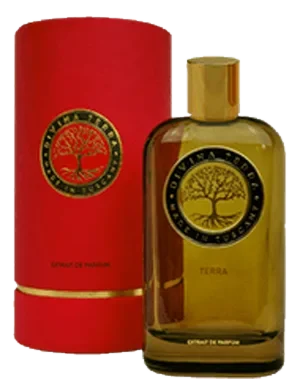 DiVina Terra 05 Terra perfume bottle