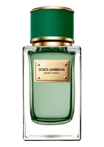 Dolce & Gabbana Velvet Cypress Dolce&Gabbana perfume bottle