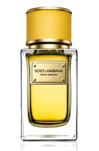 Dolce & Gabbana Velvet Ginestra Dolce&Gabbana parfüm şişesi