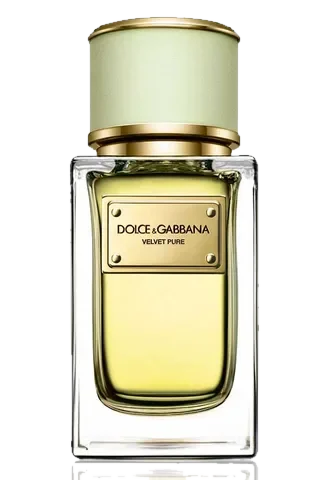 Dolce & Gabbana Velvet Pure Dolce&Gabbana perfume bottle