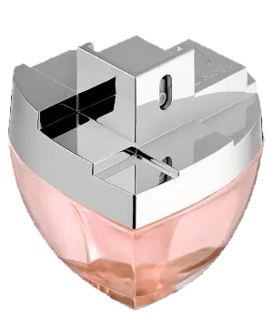 Donna Karan DKNY My NY perfume bottle