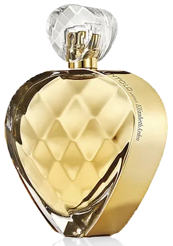 Elizabeth Arden Untold Absolu parfüm şişesi