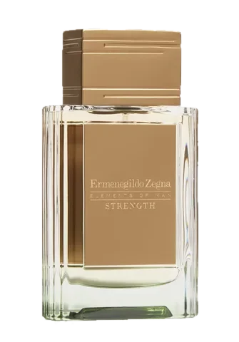 Ermenegildo Zegna Strength parfüm şişesi