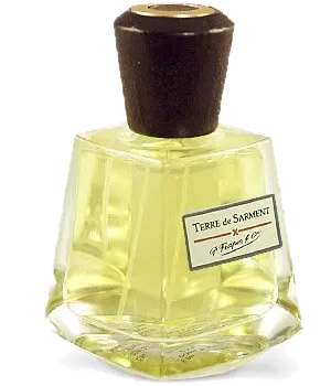 Frapin Terre de Sarment perfume bottle