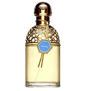 Guerlain Aqua Allegoria Gentiana parfüm şişesi