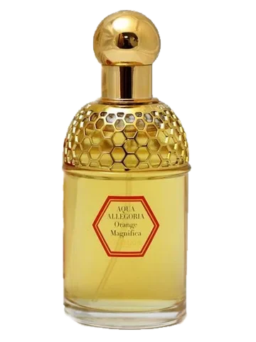 Guerlain Aqua Allegoria Orange Magnifica parfüm şişesi