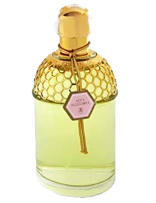 Guerlain Aqua Allegoria Rosa Magnifica parfüm şişesi