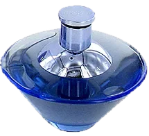 Jacomo Paradox perfume bottle