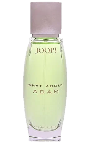 Joop! What About Adam ! perfume bottle