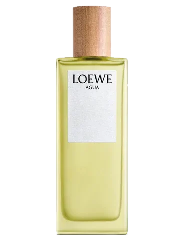 Loewe Agua de parfüm şişesi