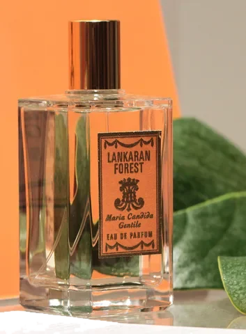 Maria Candida Gentile Lankaran Forest parfüm şişesi