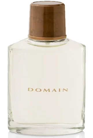 Mary Kay Domain perfume bottle