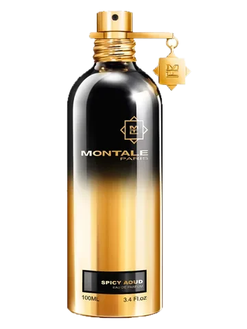 Montale Spicy Aoud parfüm şişesi