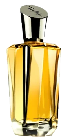 Mugler Mirror Mirror Collection - A Travers Le Miroir perfume bottle