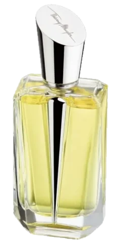 Mugler Mirror Mirror Collection - Miroir des Secrets perfume bottle