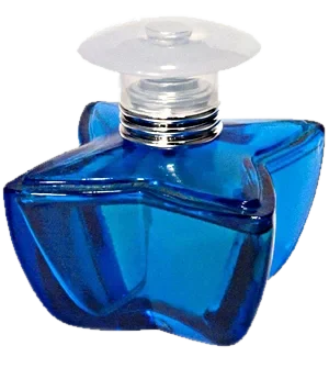 Paris Elysees BLUE Spirit parfüm şişesi