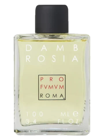 Profumum Roma Dambrosia parfüm şişesi
