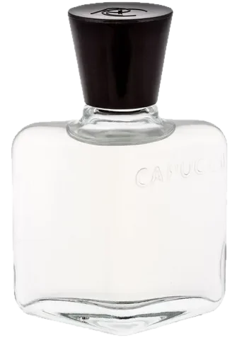 Roberto Capucci Capucci Pour Homme parfüm şişesi