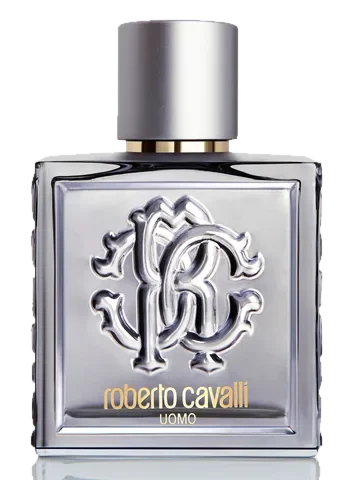 Roberto Cavalli Uomo Silver Essence perfume bottle
