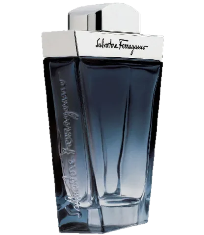 Salvatore Ferragamo Subtil Pour Homme parfüm şişesi