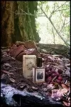Solstice Scents Black Forest parfüm şişesi