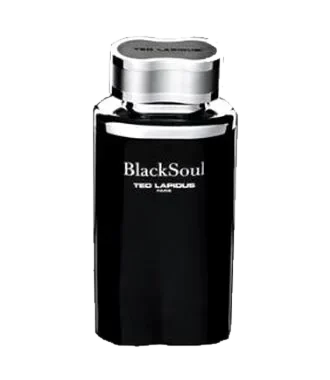 Ted Lapidus Black Soul parfüm şişesi