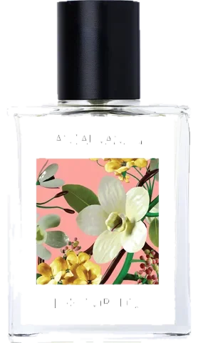 The 7 Virtues Santal Vanille parfüm şişesi
