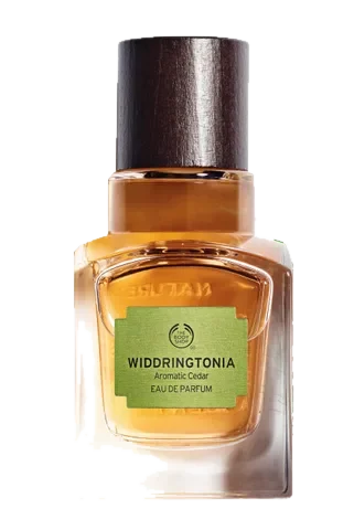 The Body Shop Widdringtonia parfüm şişesi