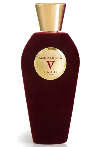 V Canto Mandragola parfüm şişesi