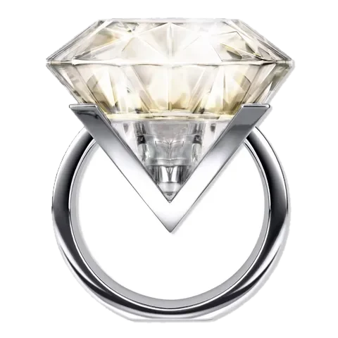 Vera Wang Love Eau de Parfum perfume bottle