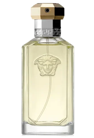 Versace Dreamer The Original Edition parfüm şişesi