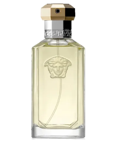 Versace The Dreamer parfüm şişesi