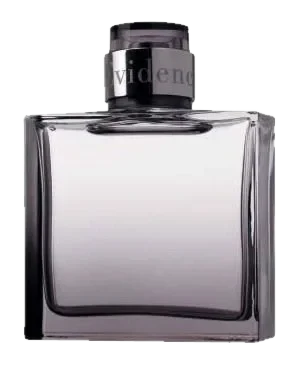 Yves Rocher Comme une Evidence Homme perfume bottle