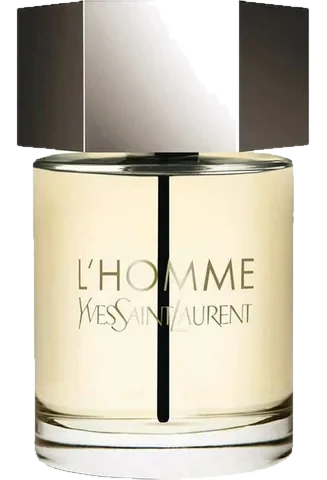 Yves Saint Laurent L'Homme parfüm şişesi